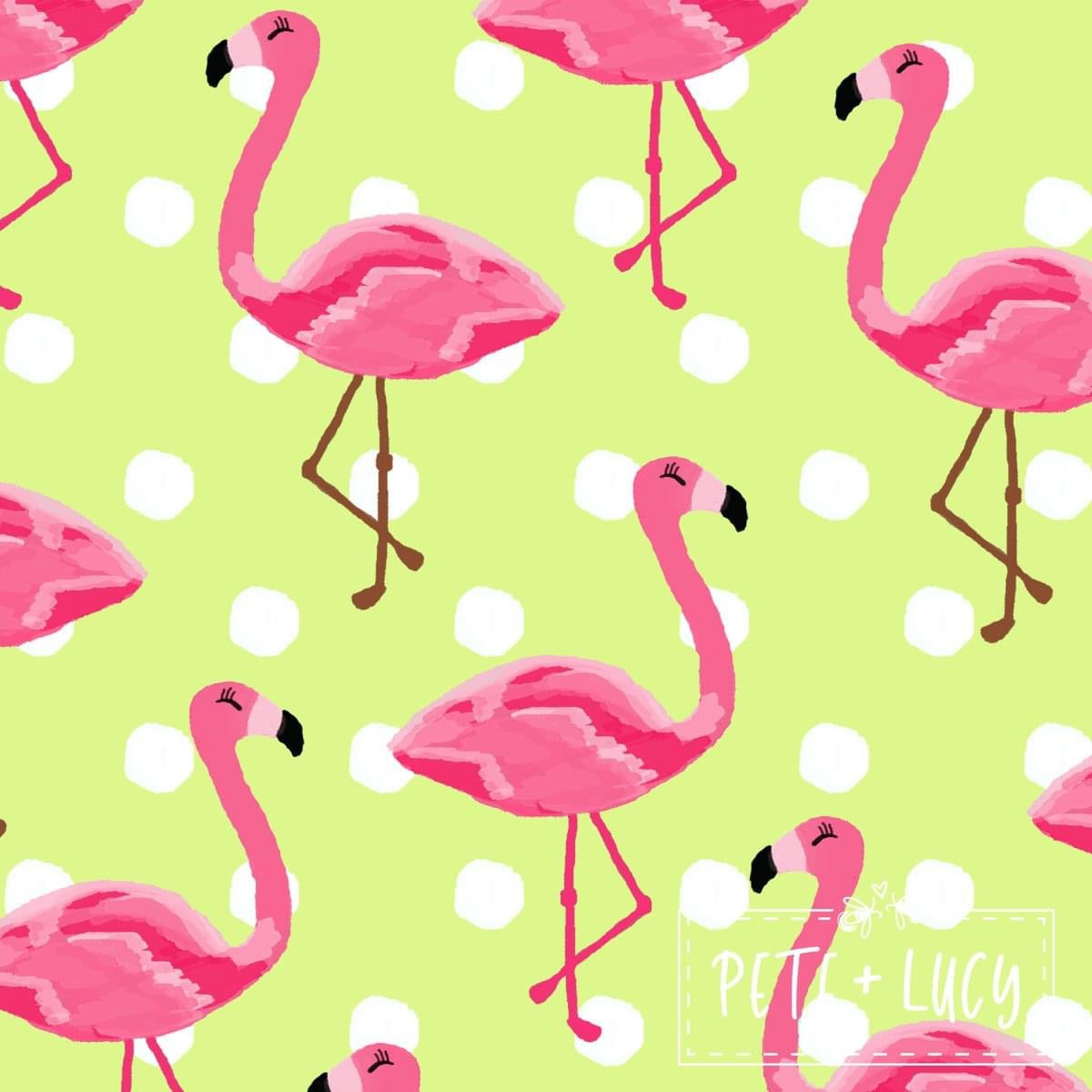 Fancy Flamingo 2 Piece Swim Suit