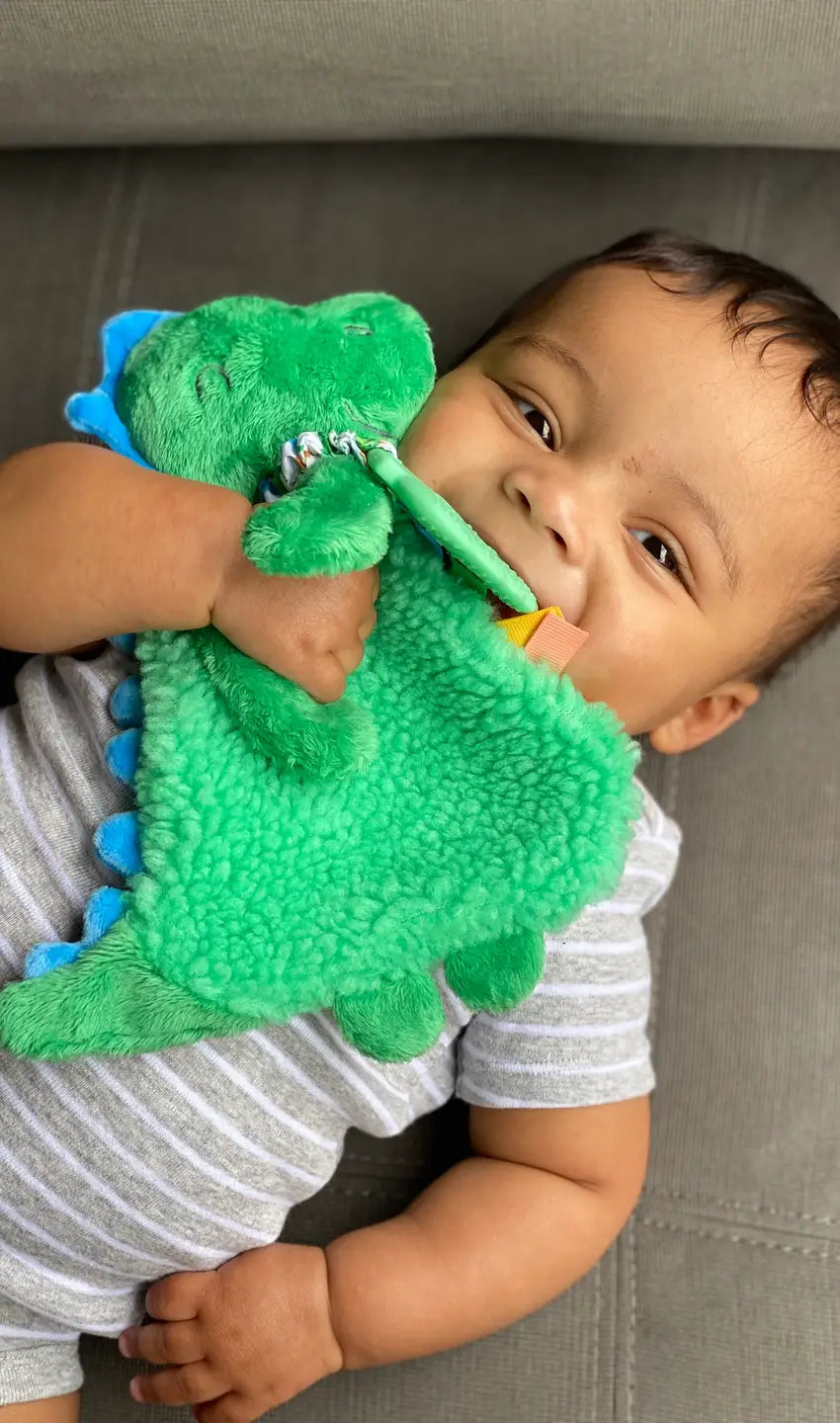 Itzy Friends Itzy Lovey Plush with Silicone Teether Toy